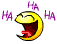 :lld: